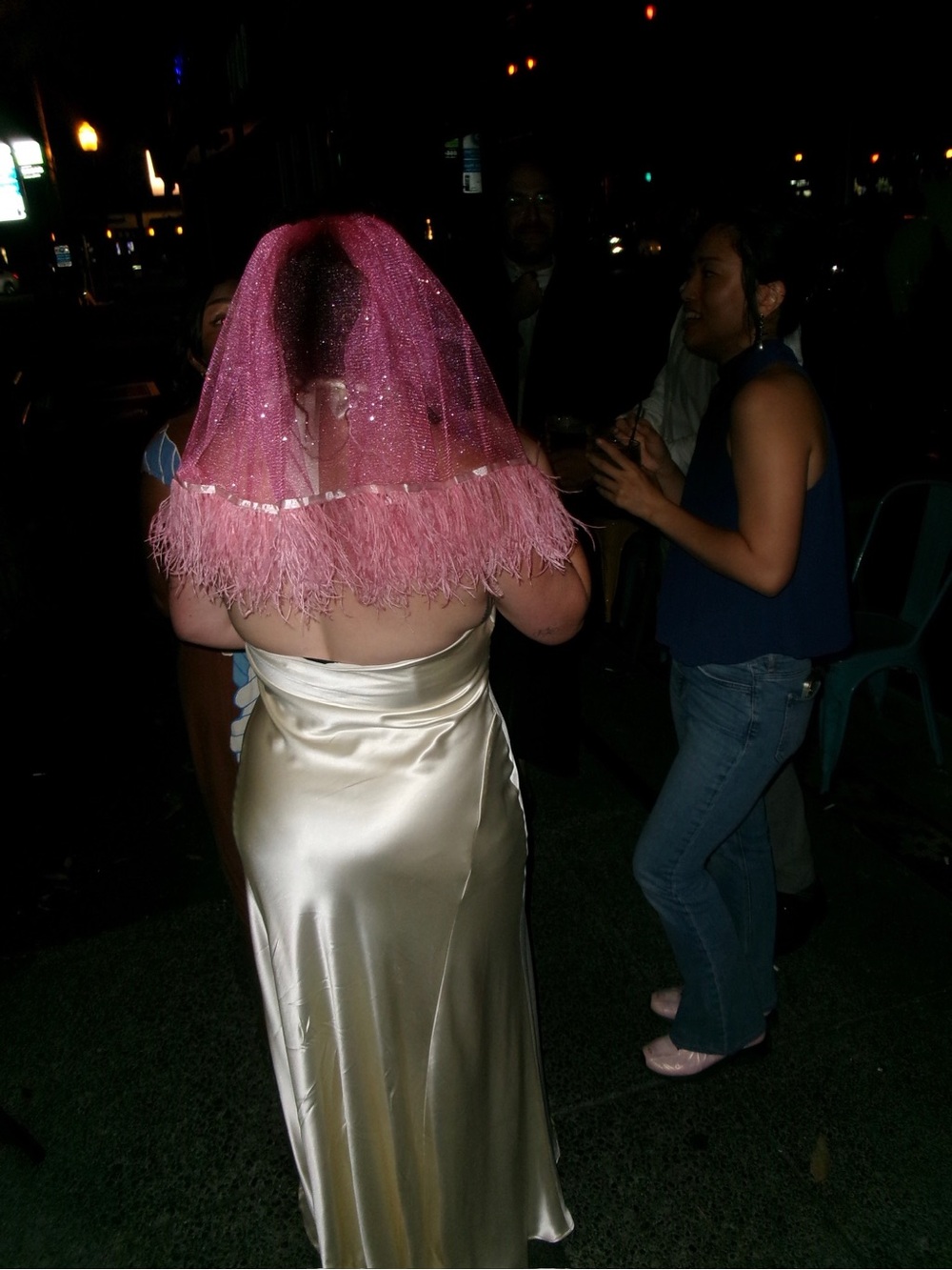 Pink Feather Trim Bridal Veil